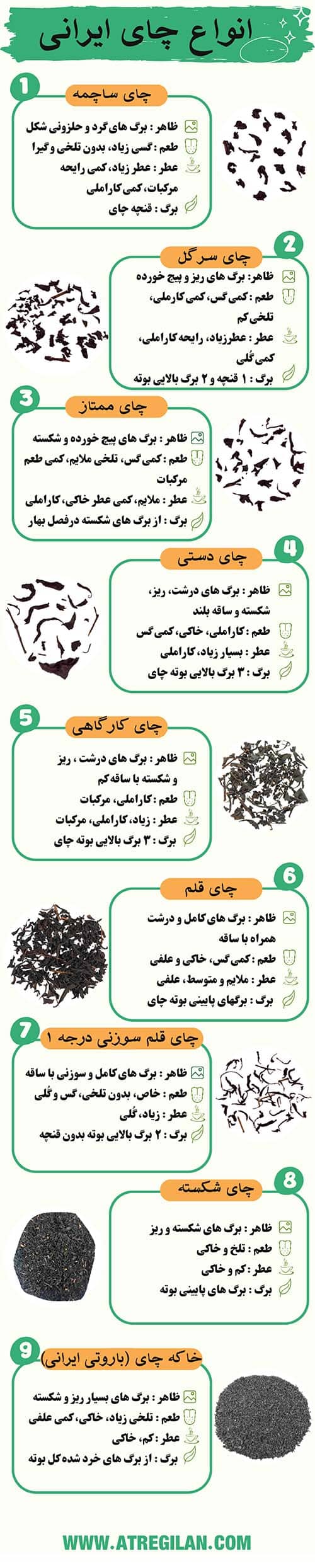 اینفوگرافی انواع چای ایرانی لاهیجان